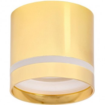Накладной потолочный светильник IEK Lighting 4016 под лампу gx53 золото Накладной потолочный светильник IEK Lighting 4016 под лампу gx53 золото