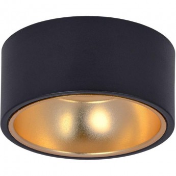 Накладной потолочный светильник IEK Lighting 4017 под лампу gx53 черный/золото Накладной потолочный светильник IEK Lighting 4017 под лампу gx53 черный/золото