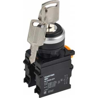 Переключатель с ключом на 3 положения IEK MASTER MI-SW60-20Y-3-34-3-K02 2NO чёрный